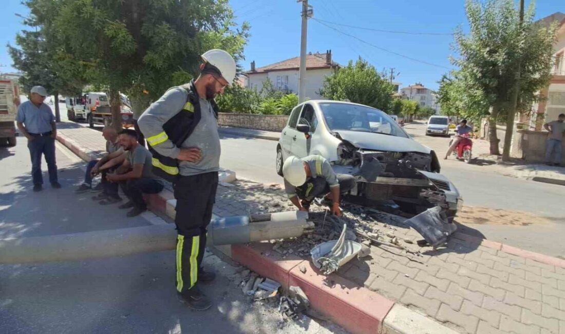 Karaman'da S.E. isimli gurbetçi kadın, önüne çıkan kediye çarpmamak için