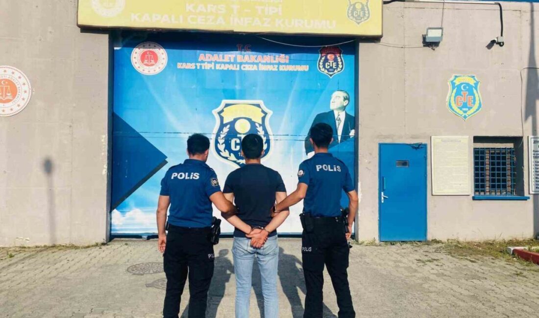 Kars Kalesi'nde çıkan yangının şüphelisi 21 yaşındaki Ö.Y., 27 suç