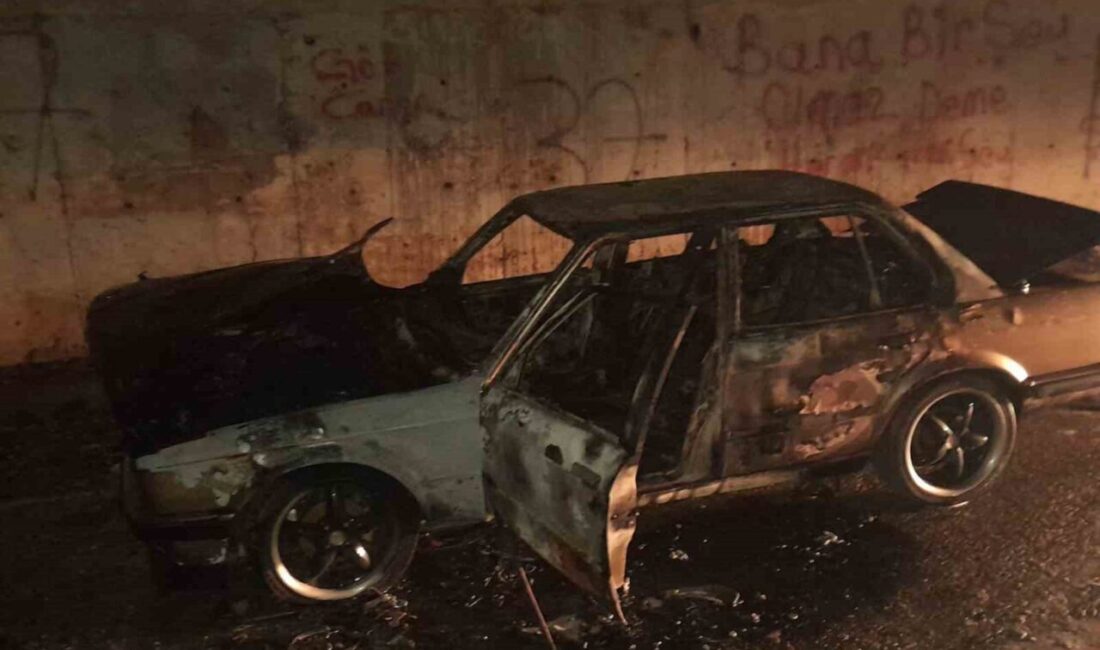 Kastamonu'nun Tosya ilçesinde meydana gelen iki yangında bir otomobil ve