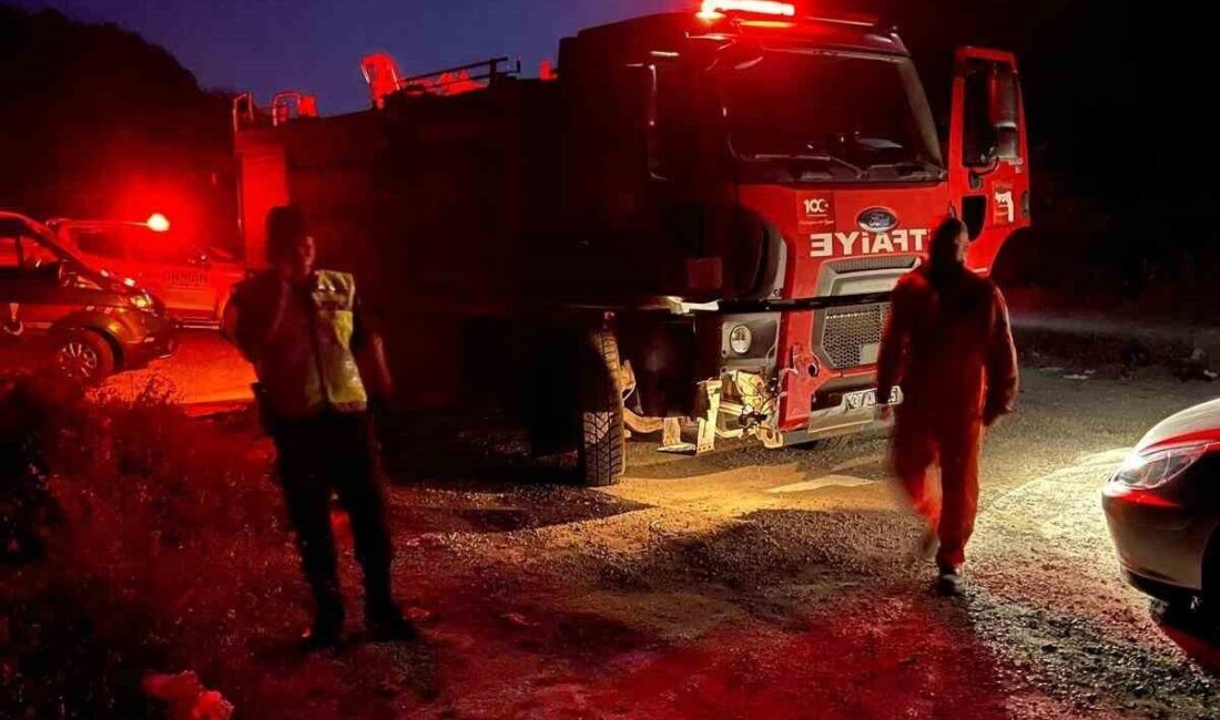 Kastamonu'nun Cide ilçesinde ormanlık alanda ateş yakan 4 şahsa, yasağı