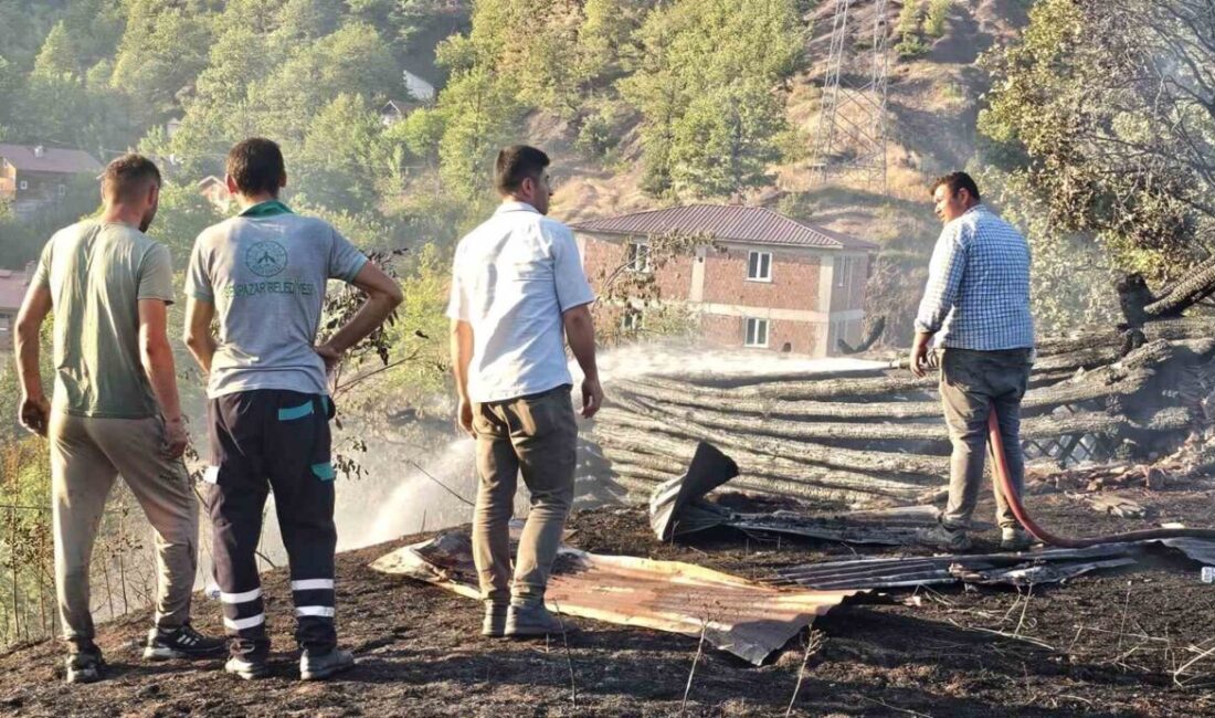 Kastamonu'nun Şenpazar ilçesinde ikinci kez meydana gelen orman yangını, itfaiye