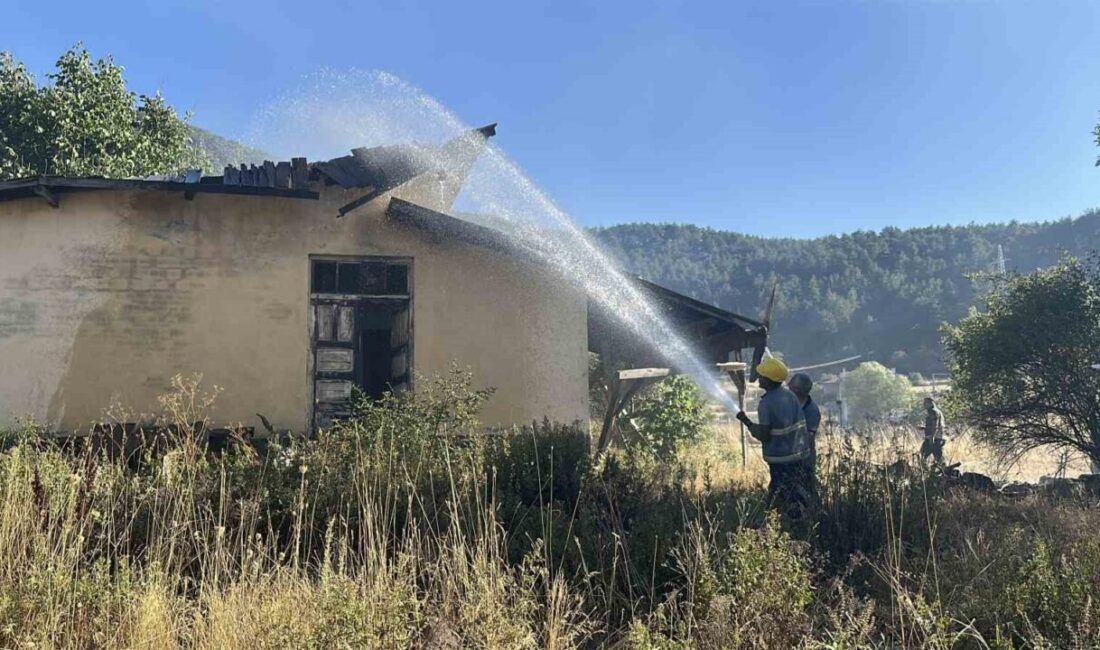Kastamonu'nun Tosya ilçesinde Yağcılar köyünde çıkan yangında, bir samanlık, odunluk