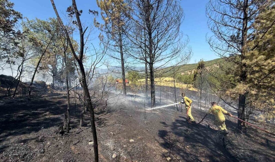 Kastamonu’nun Araç ilçesinde çıkan orman yangınında, Uğur köyünde bulunan samanlık,