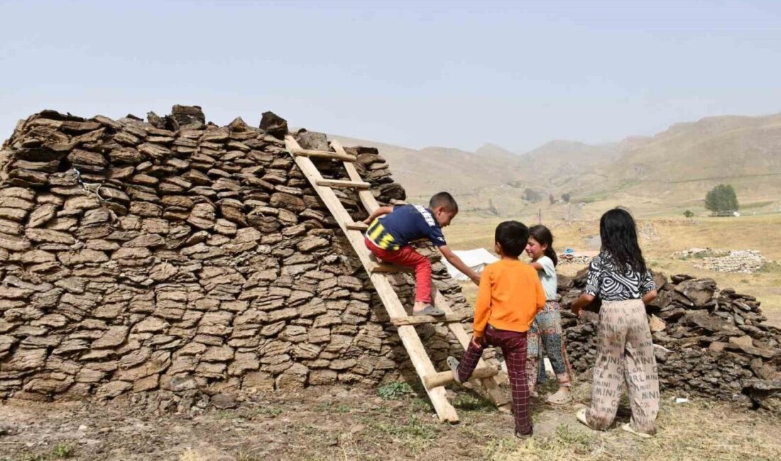 Şırnak'ın Beytüşşebap ilçesindeki Faraşin Yaylası'na göç eden aileler kış hazırlıklarına
