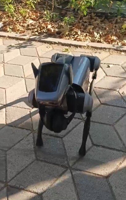 Eskişehir'de bir robot köpek, sahibi tarafından Taşbaşı Kuyumcular Çarşısı'nda dolaştırılınca