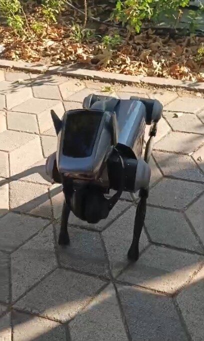 Eskişehir'de bir robot köpek, sahibi tarafından Taşbaşı Kuyumcular Çarşısı'nda dolaştırılınca