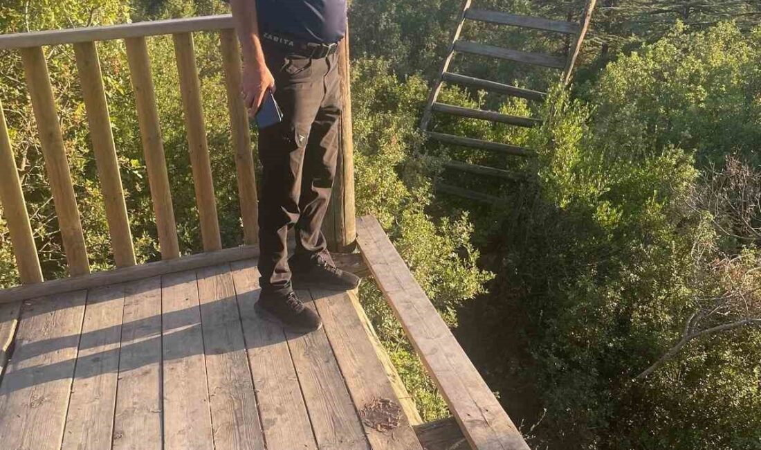 Bilecik-Bozüyük karayolu üzerindeki Kent Ormanı'ndaki seyir terasına zarar verildiği belirlendi.