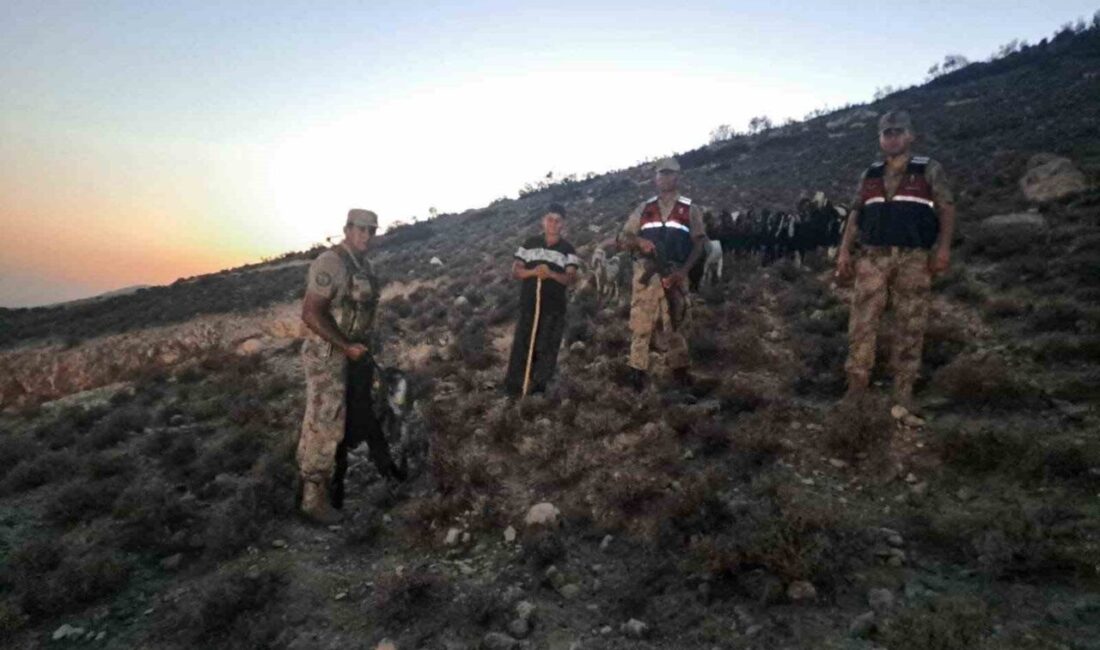 Kilis'in Polateli ilçesindeki Bağarası köyünde 26 küçükbaş hayvan kayboldu. İlçe