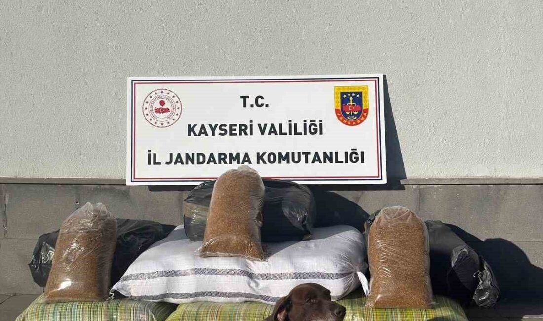Kayseri İl Jandarma Komutanlığı, Kayseri-Malatya Karayolu’nda gerçekleştirdiği yol kontrolünde bir