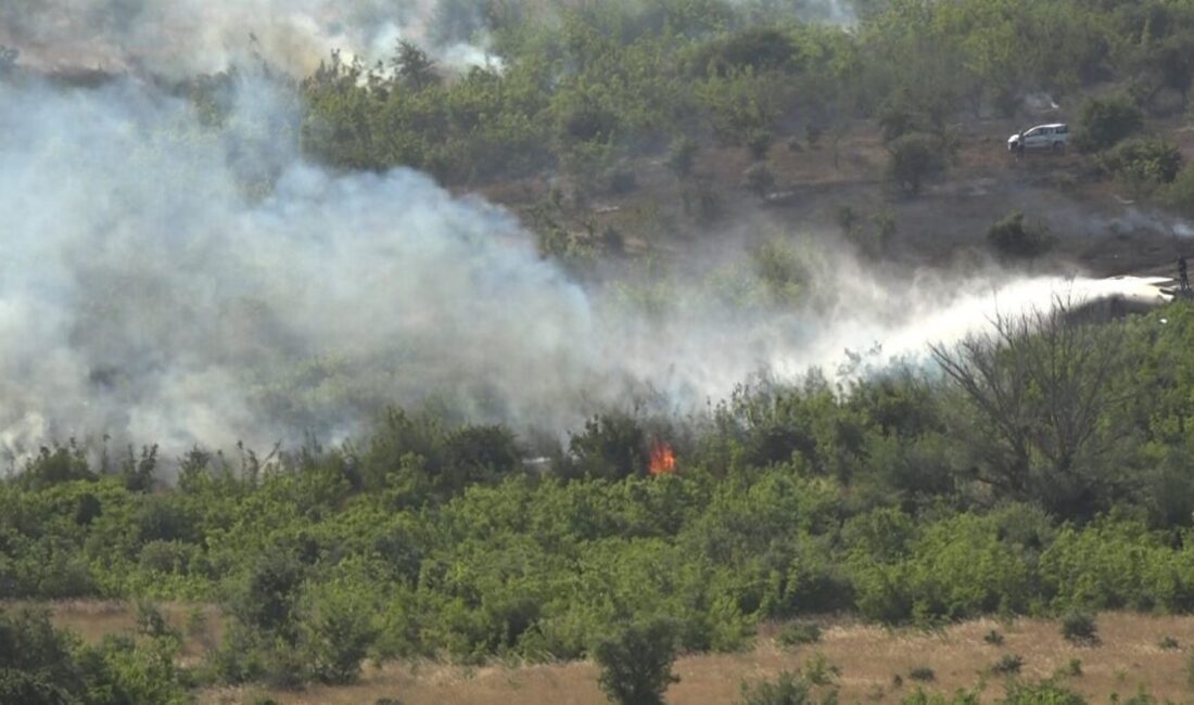 Kırklareli Valiliği, son günlerde artan yangınlar nedeniyle vatandaşları dikkatli olmaya