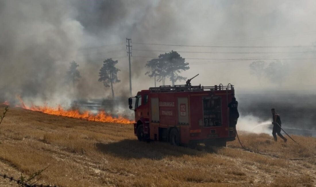 Kırklareli'nin Lüleburgaz ilçesinde çıkan anız yangınında, 1 otomobil, 2 ev