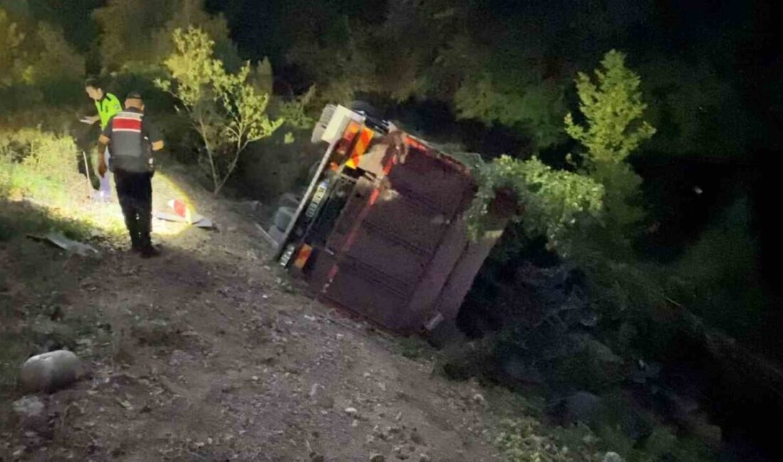 Bursa'nın İnegöl ilçesinde dolma biber yükü taşıyan Yılmaz Ç. idaresindeki