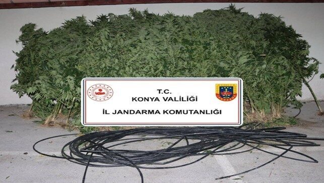 Konya'da jandarma ekipleri, son üç günde uyuşturucu ve silah operasyonları