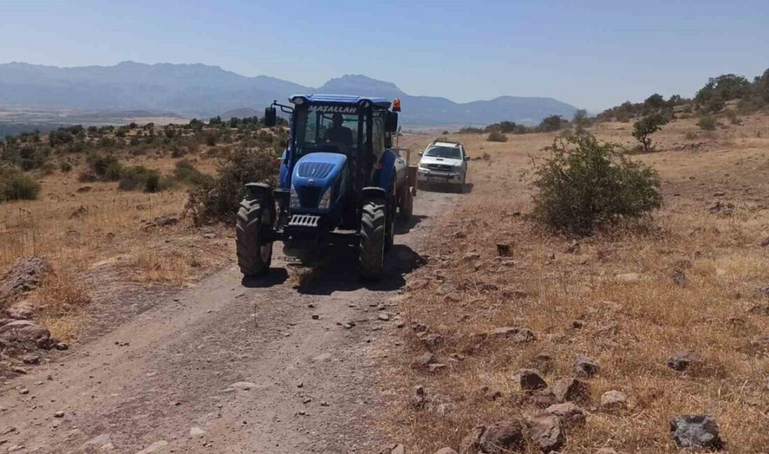 Konya'nın Seydişehir ilçesindeki Gevrekli Mahallesi'nde ormanlık alanda başlayan yangın, paniğe