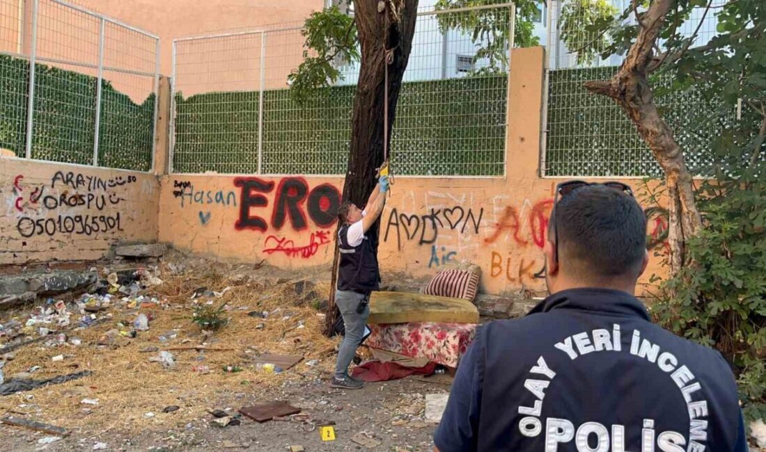 Tekirdağ'ın Çorlu ilçesinde köpeğini gezdiren servis şoförü Soner Carcı, ağacın