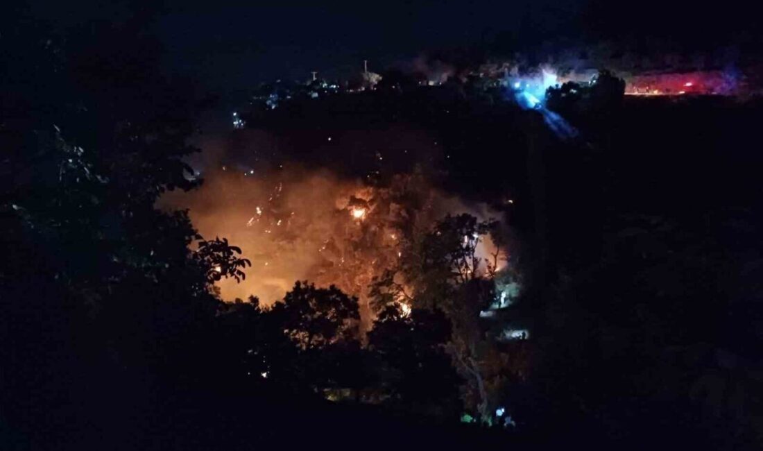 Aydın'ın Köşk ilçesinde Kızılcaköy Mahallesi yakınlarında çıkan orman yangını, rüzgarın