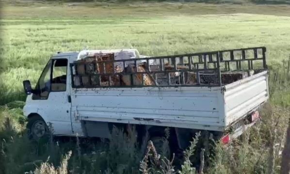 Ardahan'da Yalnızçam köyü yolunda arı kovanı taşıyan 53 LA 269