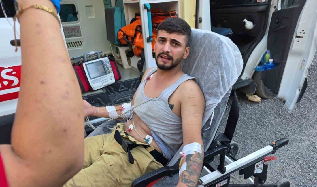 Adana'nın Kozan ilçesinde 8 Ağustos'ta yangın söndürme çalışmaları sırasında kaybolan