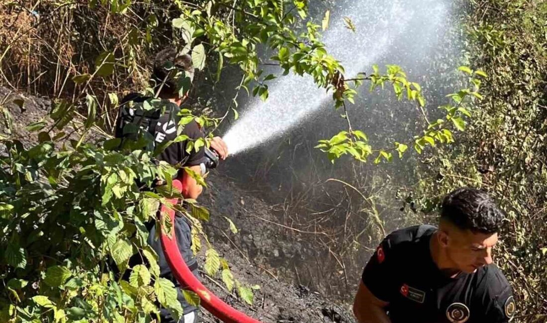 Zonguldak'ın Kozlu ilçesinde, İhsaniye Mahallesi yakınlarında meydana gelen anız yangını,