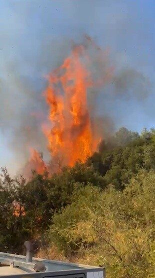 Antalya'nın Kumluca ilçesinde, Erentepe Mahallesi Bucakyurt mevkiinde çıkan örtü yangını,
