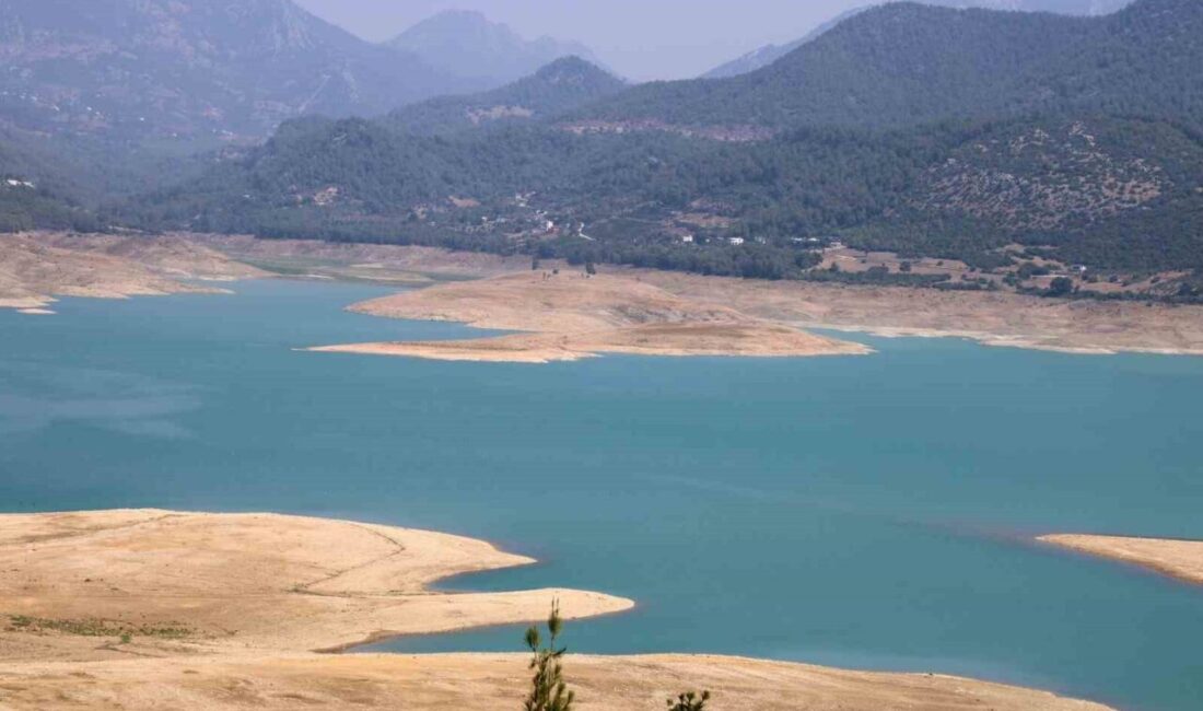 Adana'nın Kozan bölgesindeki kuraklık, üreticileri ve tarım arazilerini zor duruma