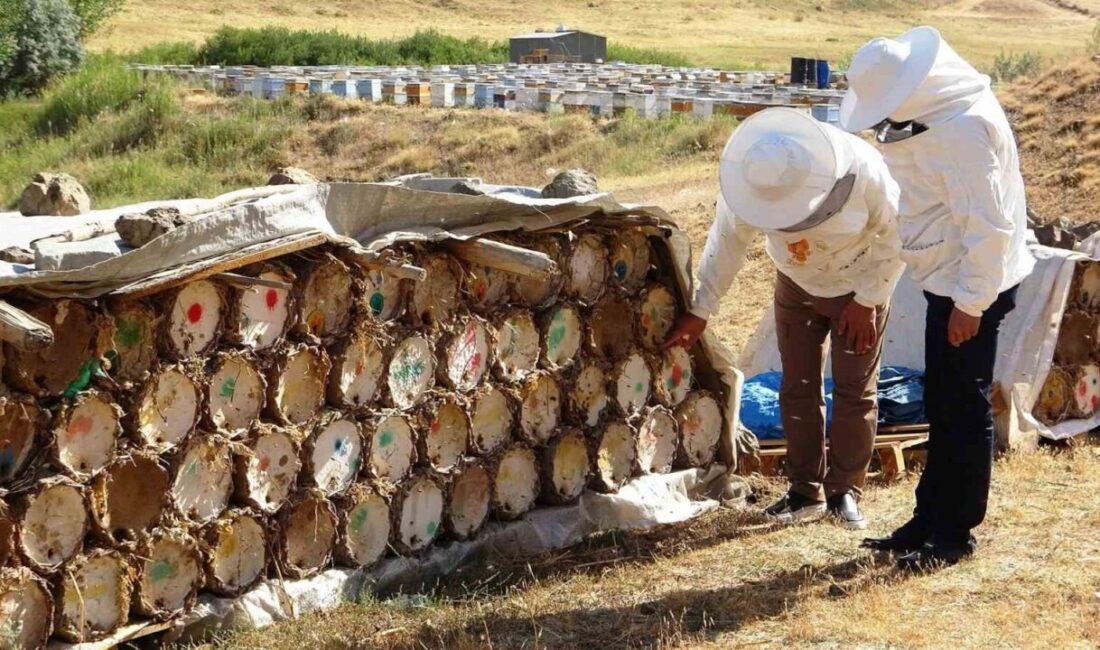 Van Arıcılar Birliği Başkanı Halil Tandoğan, küresel ısınmanın bal veriminde