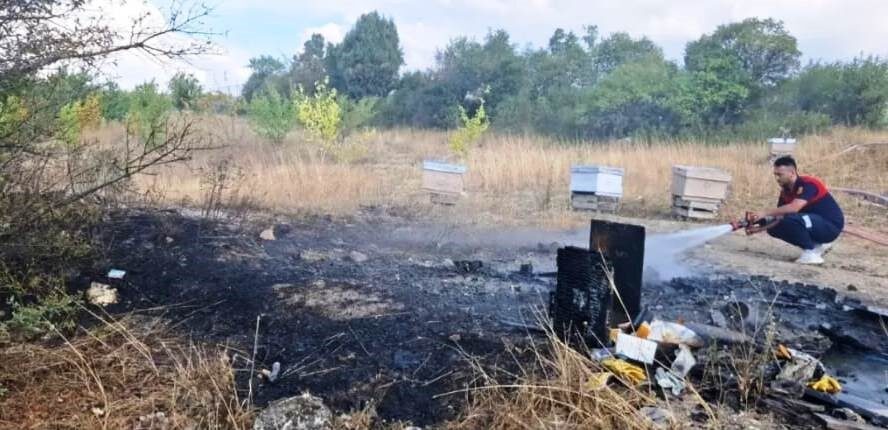 Kütahya'nın Emet ilçesinde Akpınar Mahallesi'nde çıkan yangında 7 arı kovanı