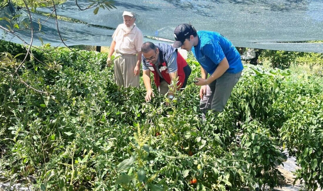 Kütahya'da Tarım Arazilerinin Kullanımının Etkinleştirilmesi (TAKE) projesi kapsamında Demirciören, Sekiören,