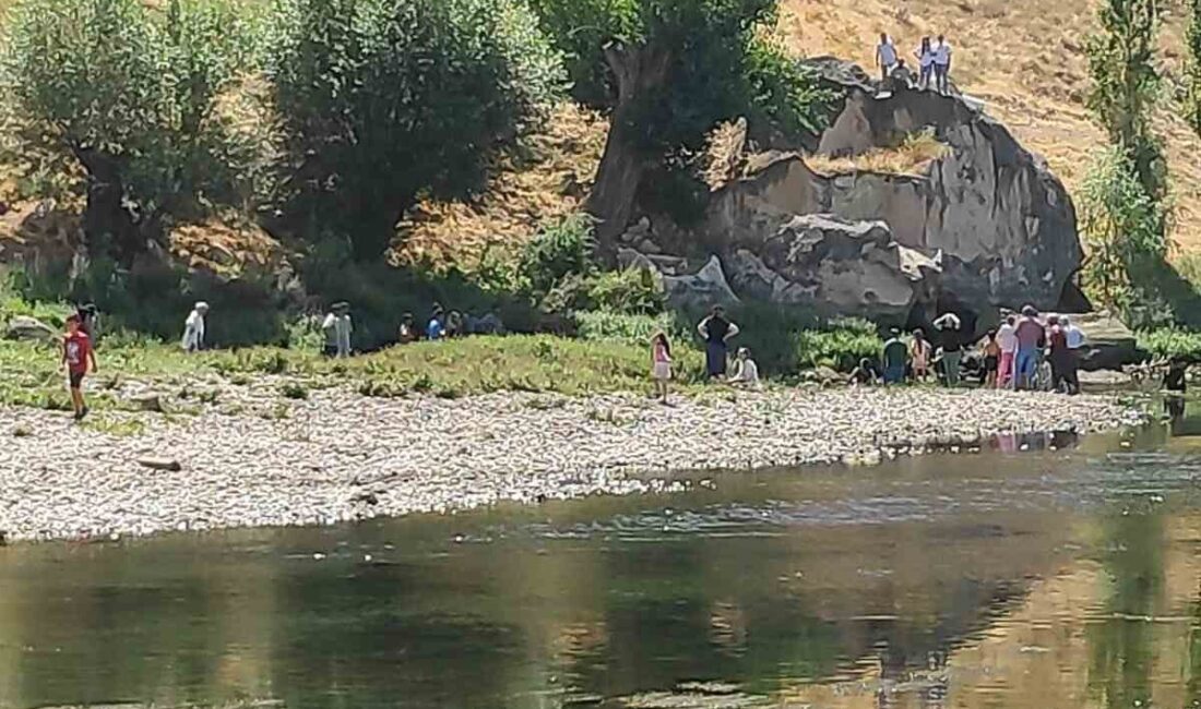 Nevşehir'in Ürgüp ilçesinde kuzeni Kızılırmak'a düşen 22 yaşındaki Ensar Yiğit,
