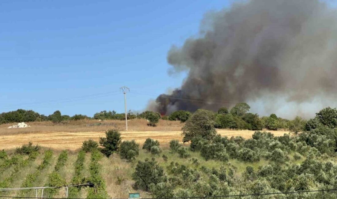 Çanakkale'nin Lapseki ilçesinde tarım arazisinde çıkan yangın, ormana sıçrayarak büyüdü.