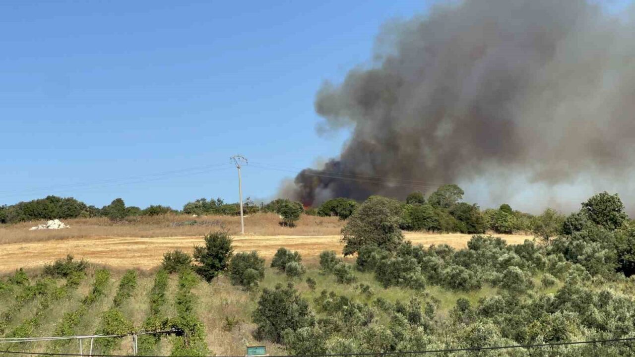 Çanakkale'nin Lapseki ilçesinde tarım arazisinde çıkan yangın, ormana sıçrayarak büyüdü.