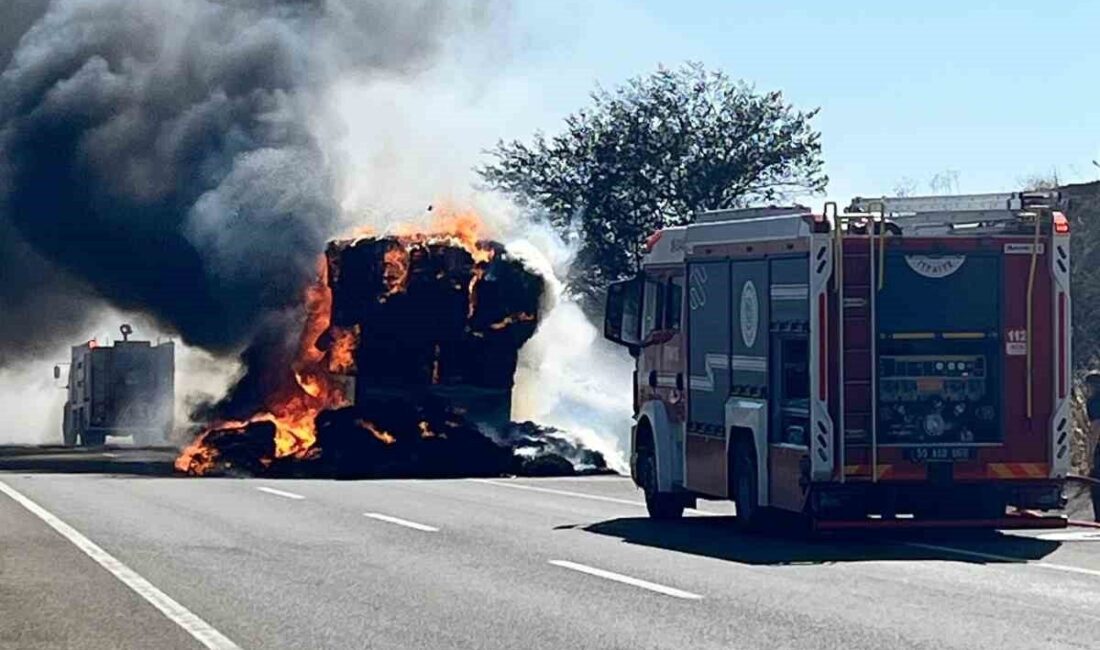 Tekirdağ-Malkara kara yolunda bir LPG'li araçta çıkan yangın, çevredeki ayçiçeği