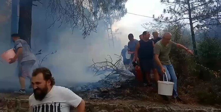 İzmit'in Şirintepe Mahallesi'nde bir ormanlık alanda çıkan yangına mahalle sakinleri,