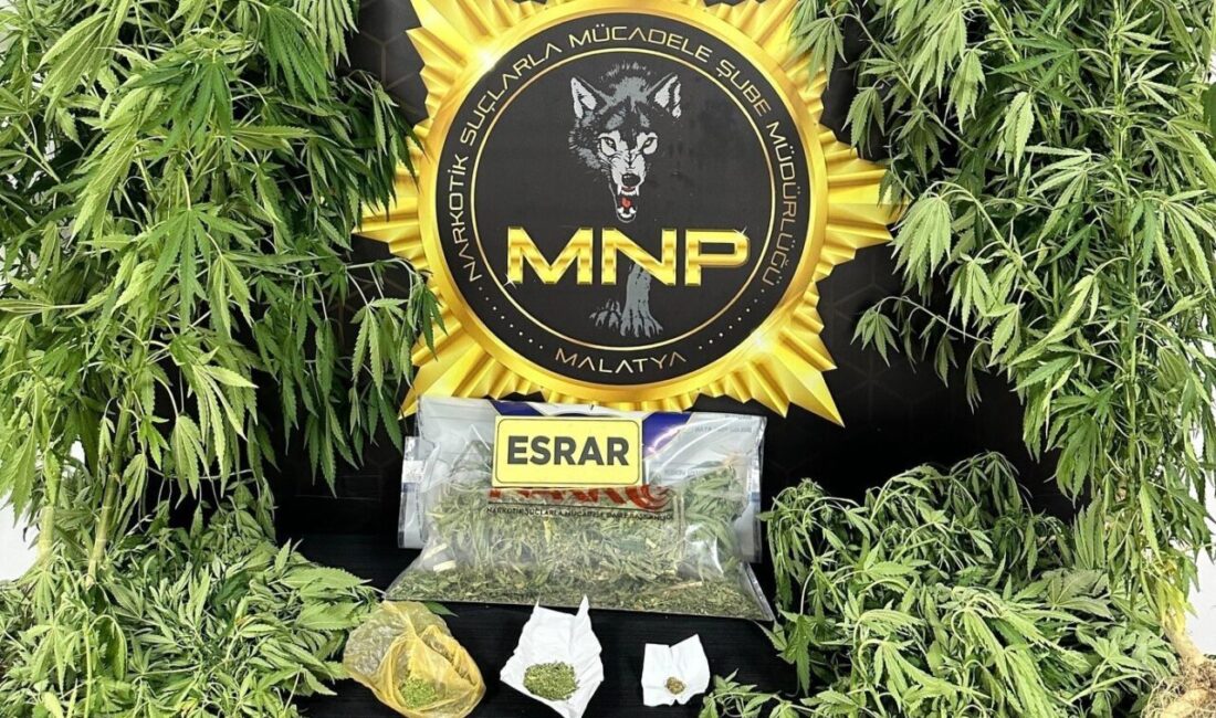 Malatya'da Narkotik Suçlarla Mücadele ekipleri, düzenledikleri operasyonda 523,7 gram esrar