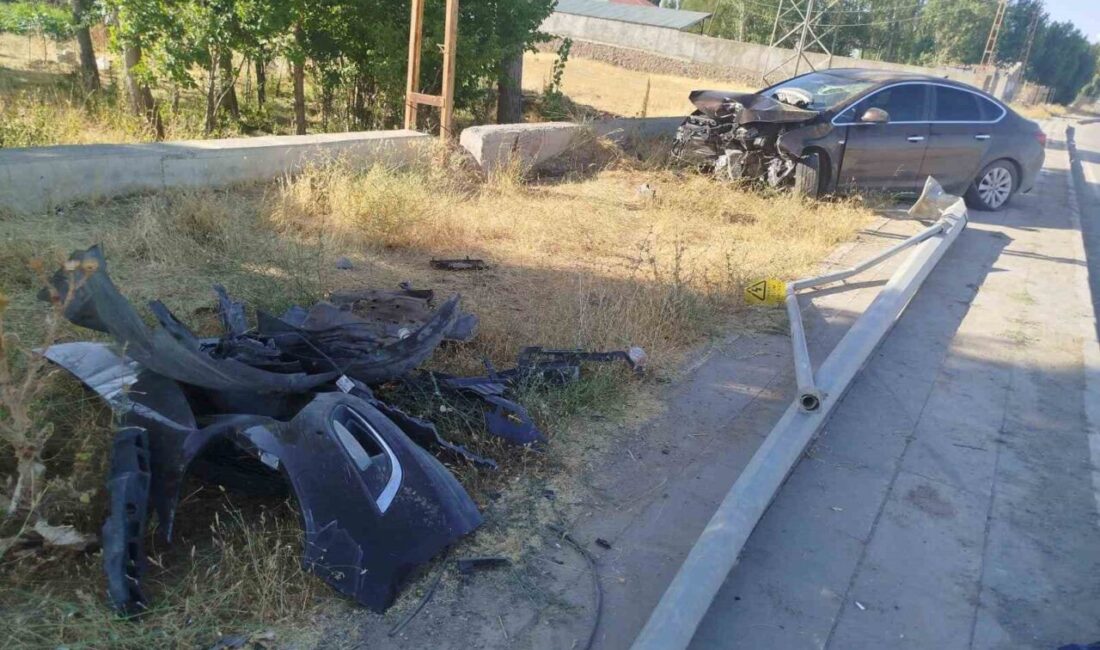 Muş'un Malazgirt ilçesinde Sami Yıldırım'ın kullandığı otomobil kontrolden çıkarak bir