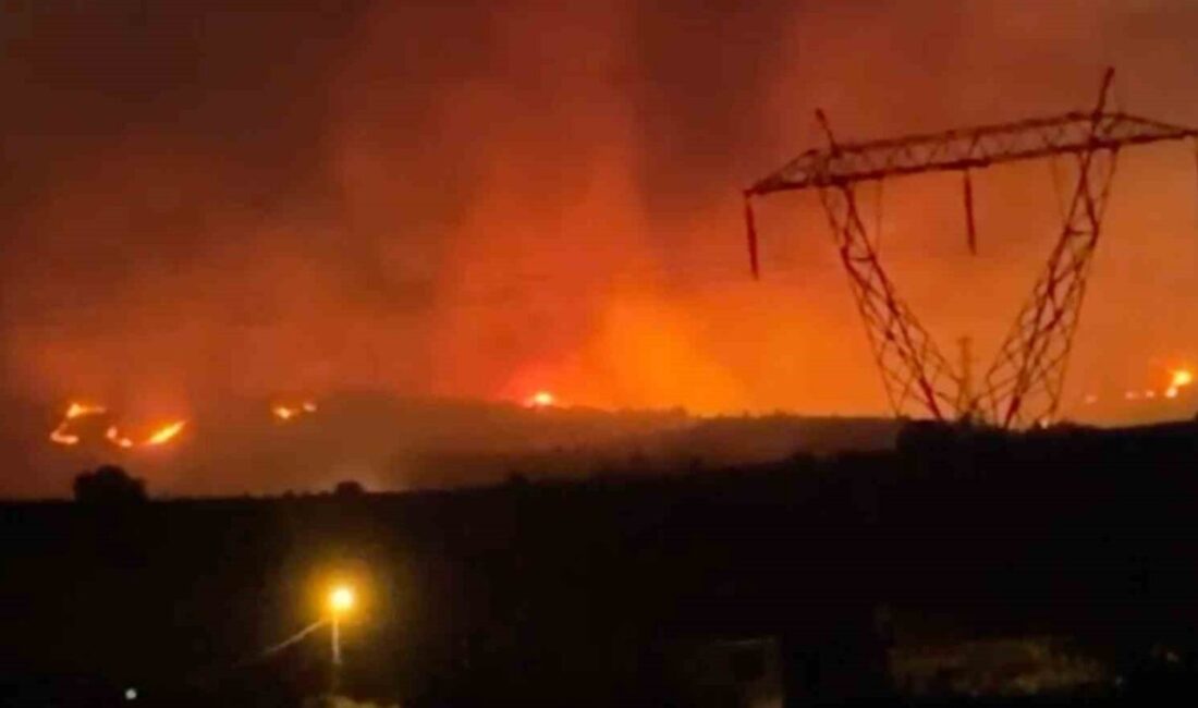 Manisa'nın Alaşehir ilçesindeki Badınca Mahallesi'nde çıkan orman yangınına, İzmir Orman