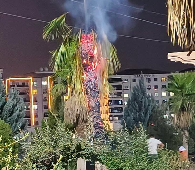 Mardin'in Kızıltepe ilçesindeki TOKİ Büyük Park'ta, kimliği belirsiz kişilerce ateşe