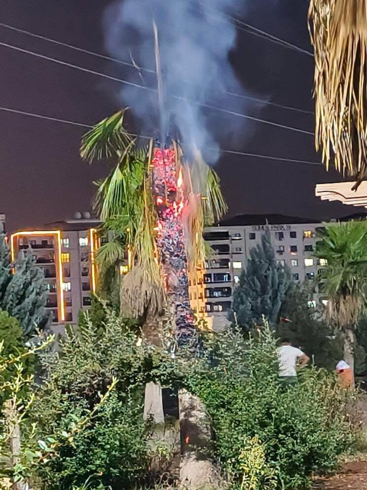 Mardin'in Kızıltepe ilçesindeki TOKİ Büyük Park'ta, kimliği belirsiz kişilerce ateşe