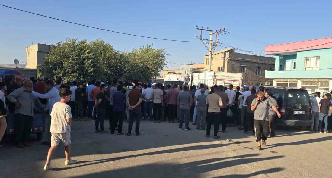 Mardin’in Artuklu ilçesinde bir tır, 45 yaşındaki Mehmet Hadi Çelik’e