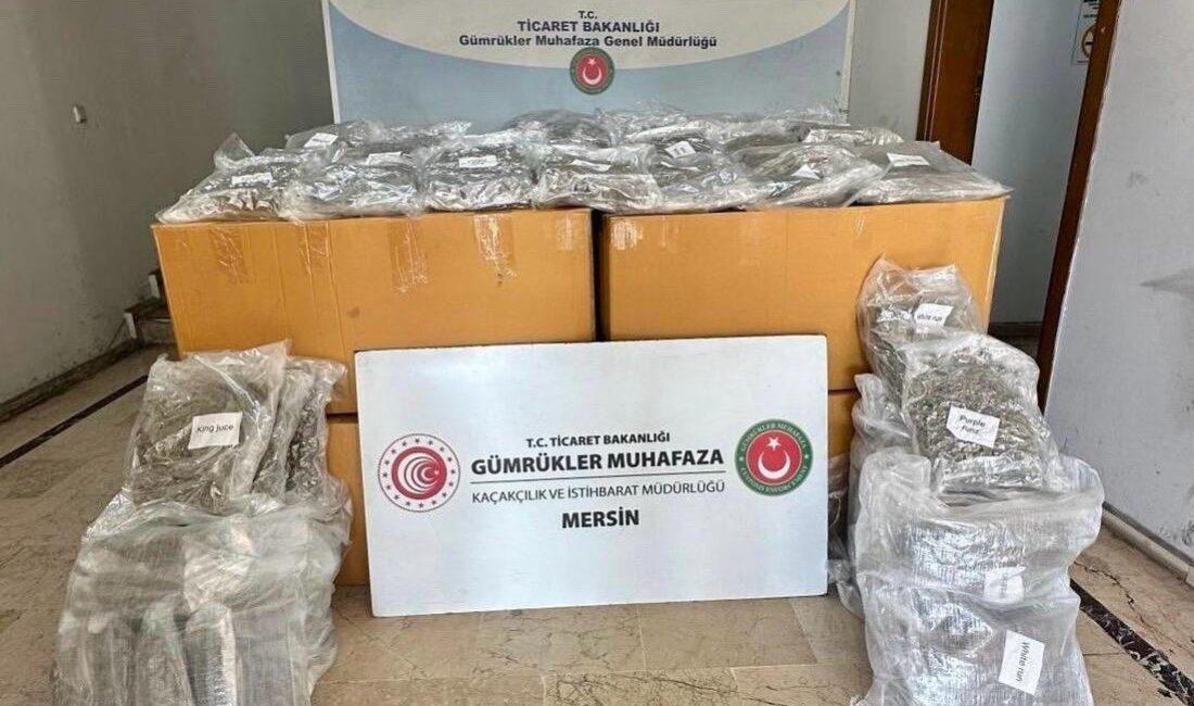 Mersin Limanı'nda yapılan bir operasyonda, Gümrük Muhafaza ekipleri tarafından tarama