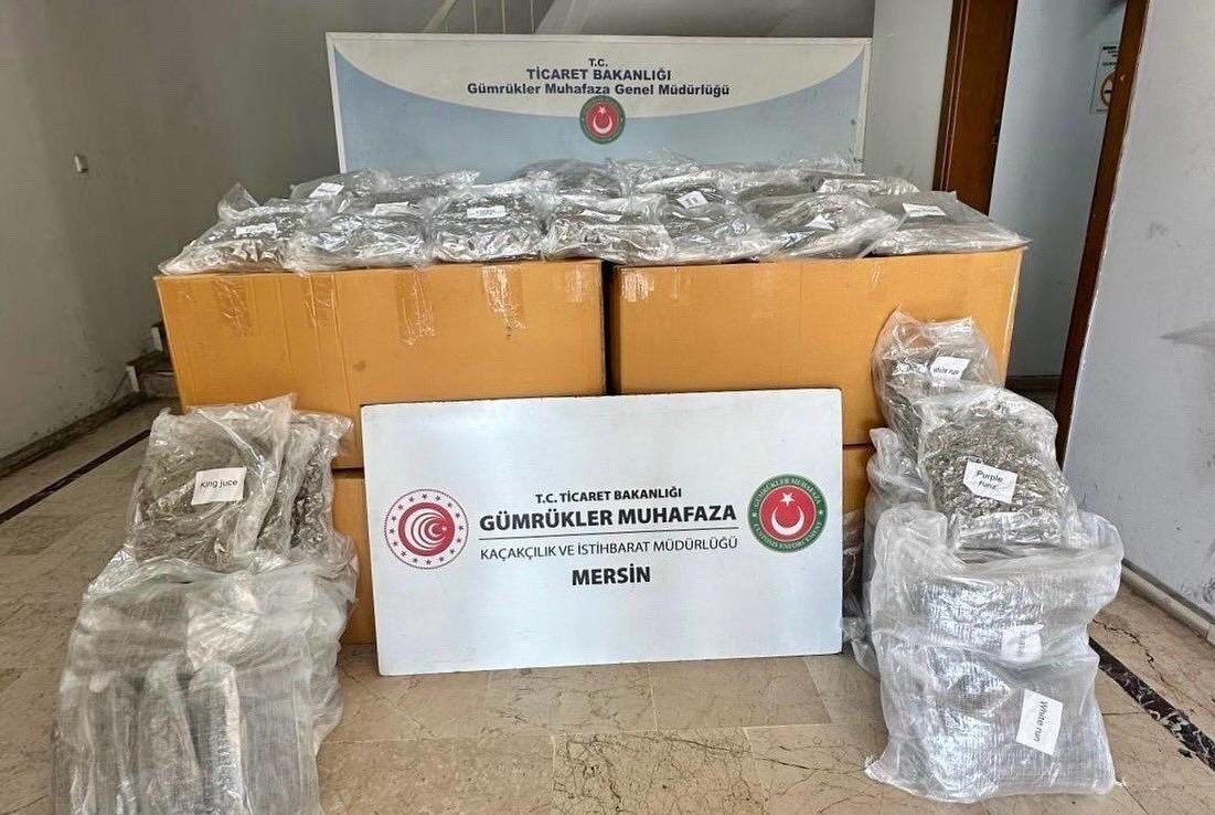 Mersin Limanı'nda yapılan bir operasyonda, Gümrük Muhafaza ekipleri tarafından tarama