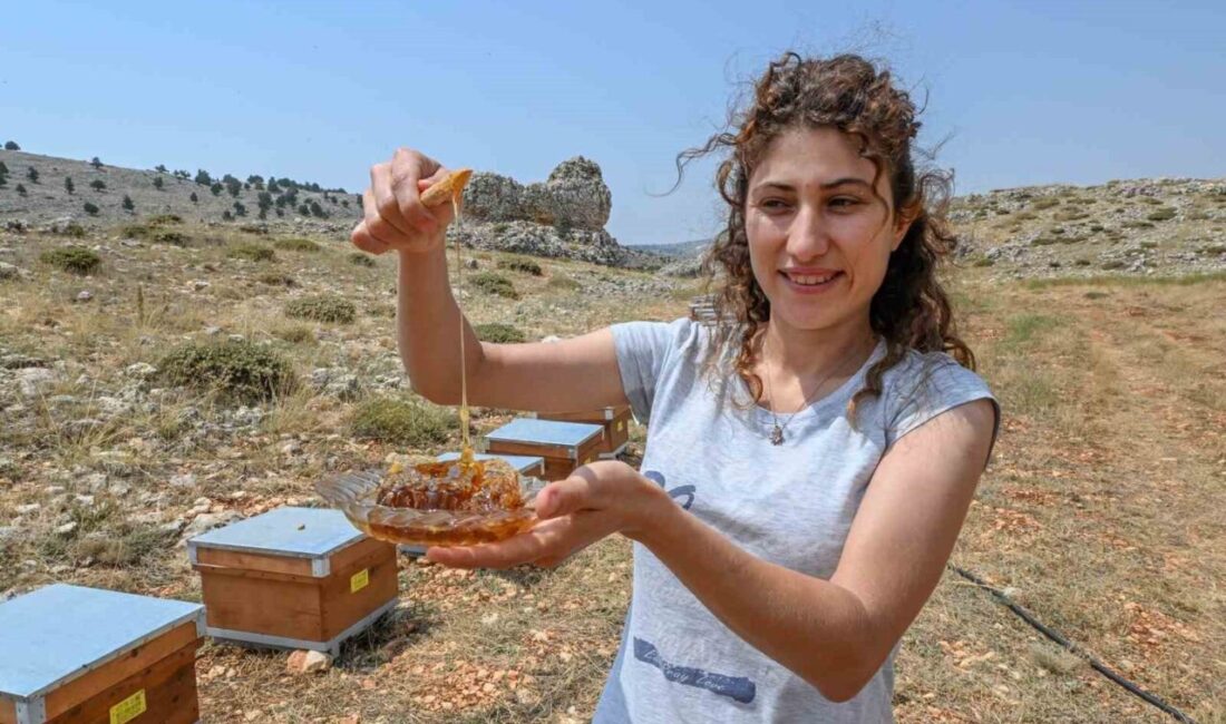 Mersin Büyükşehir Belediyesi, 'Altın Kovan Projesi' ile arıcılığa destek veriyor.