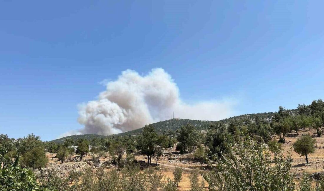 Mersin'in Silifke ilçesinde, Çaltı Mahallesi yakınlarında ormanlık alanda yangın meydana