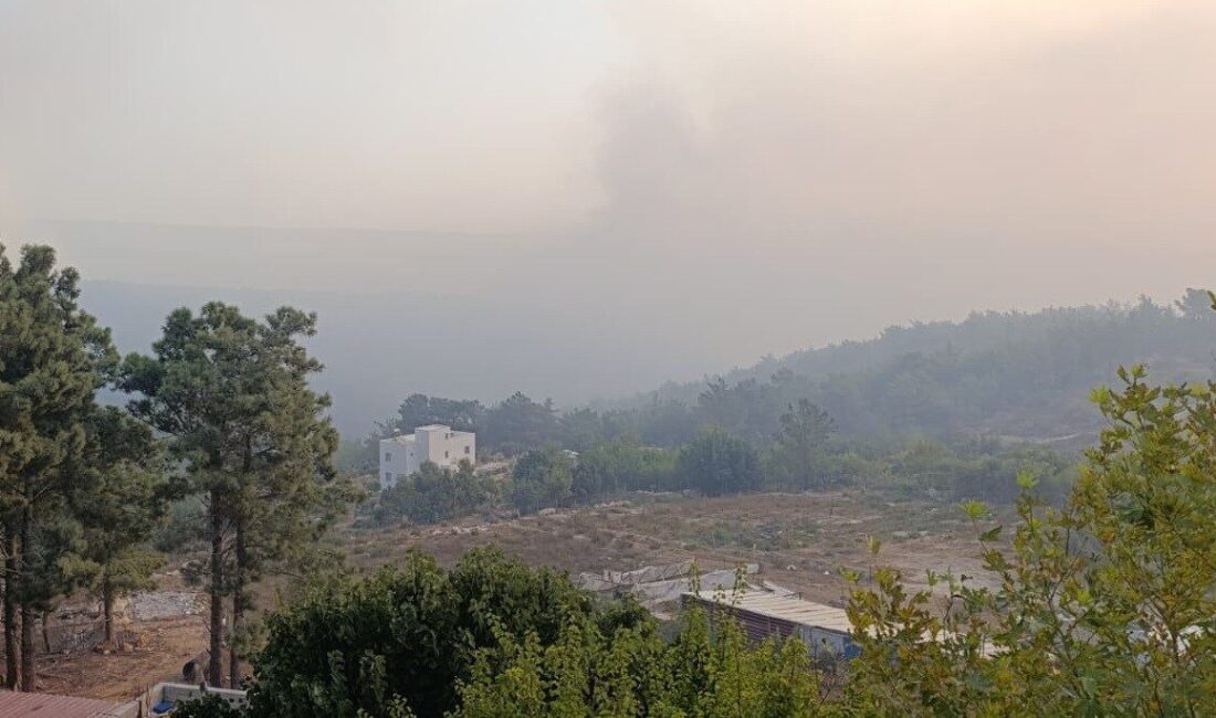 Mersin’in Silifke ilçesinde çıkan yangına 12.45'te başlanıldı ve süratle ormana