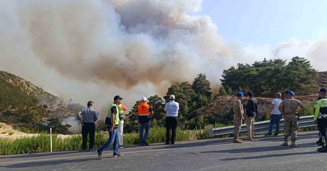 Mersin'in Silifke ilçesindeki orman yangını için 10 helikopter, 122 araç