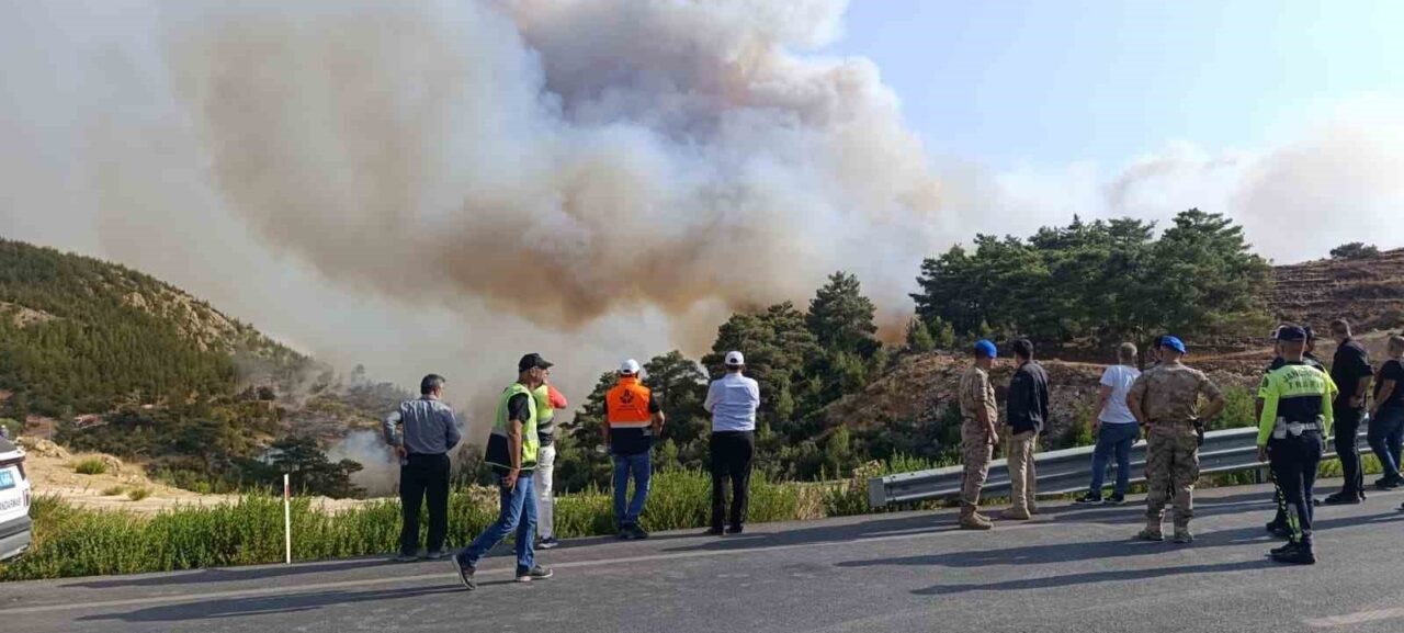 Mersin'in Silifke ilçesindeki orman yangını için 10 helikopter, 122 araç
