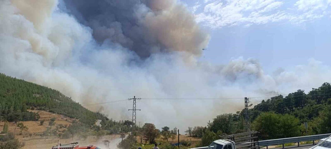 Mersin'in Silifke ilçesinde ormanlık alanda çıkan yangın, yerleşim yerlerini tehdit