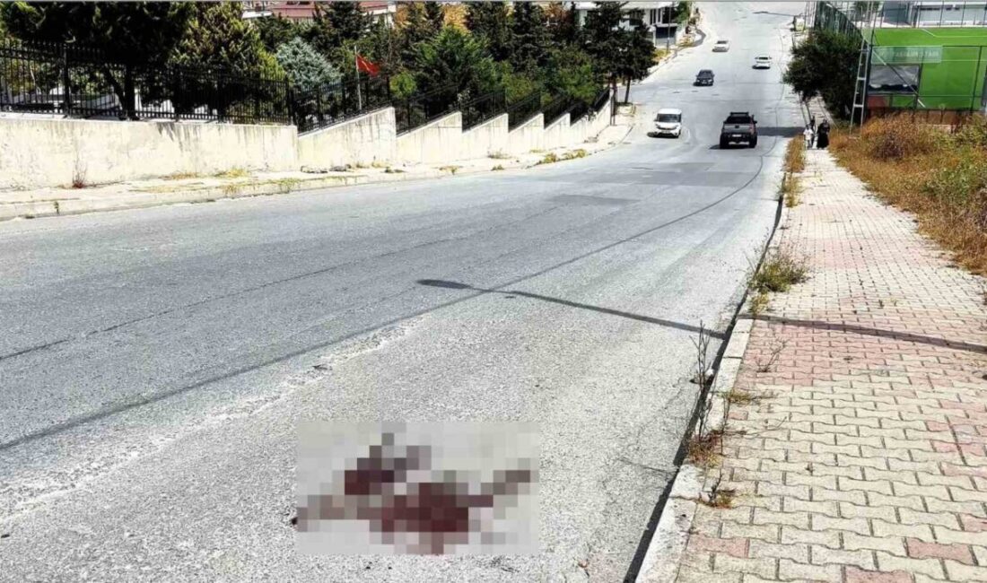 Arnavutköy'de Berat G., tartıştığı ağabeyi Murat G.'yi tabancayla vurdu. Ağır