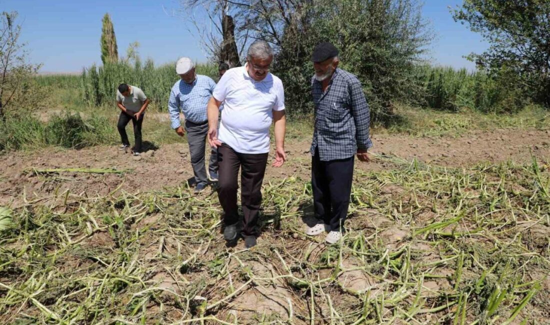 AK Parti Afyonkarahisar Milletvekili Av. İbrahim Yurdunuseven, dolu yağışının ardından