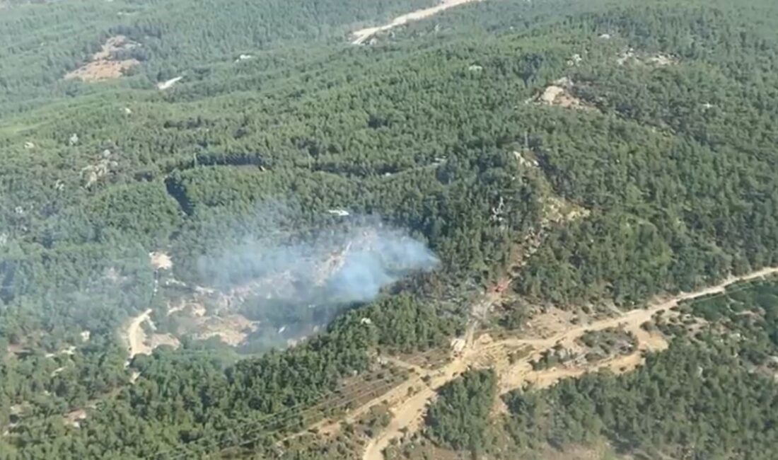 Muğla'nın Milas ilçesi Türbe-Ortaköy bölgesinde ormanlık alanda çıkan yangına müdahale